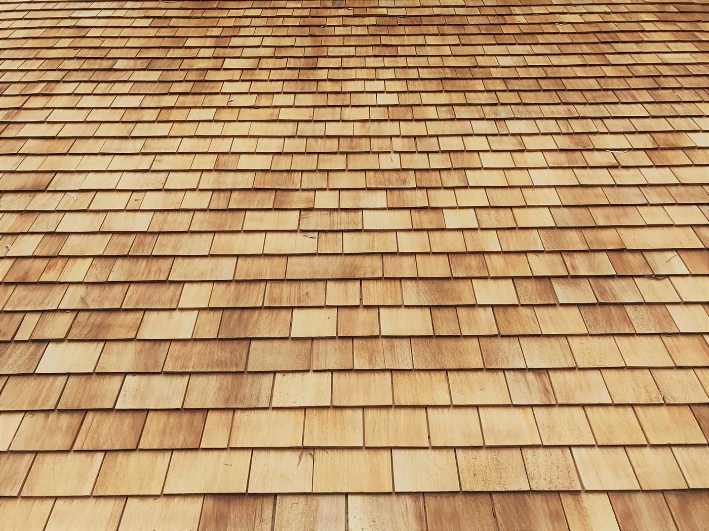 Timber and Cedar Roof Shingles