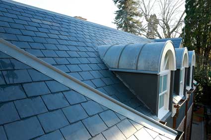Copper, Zinc, Lead and Colourbond roofs